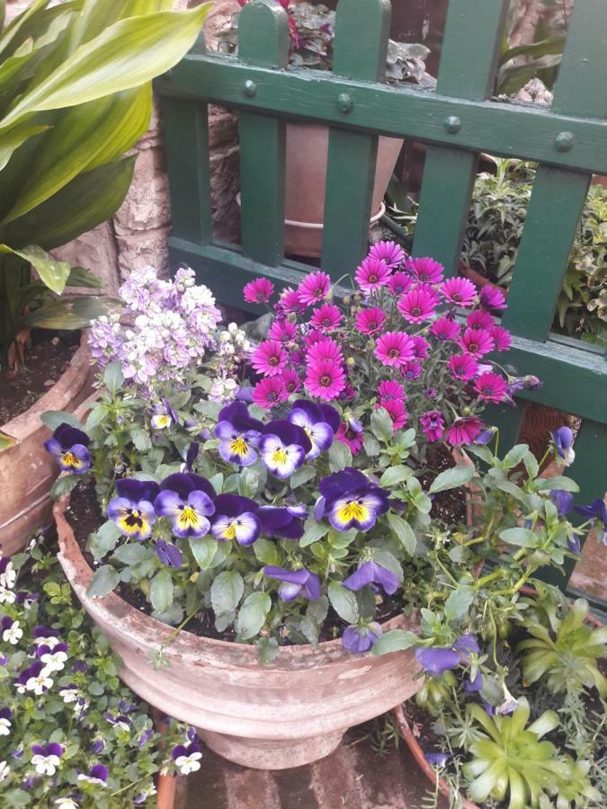 La Viola Di Assisi Hotel ภายนอก รูปภาพ