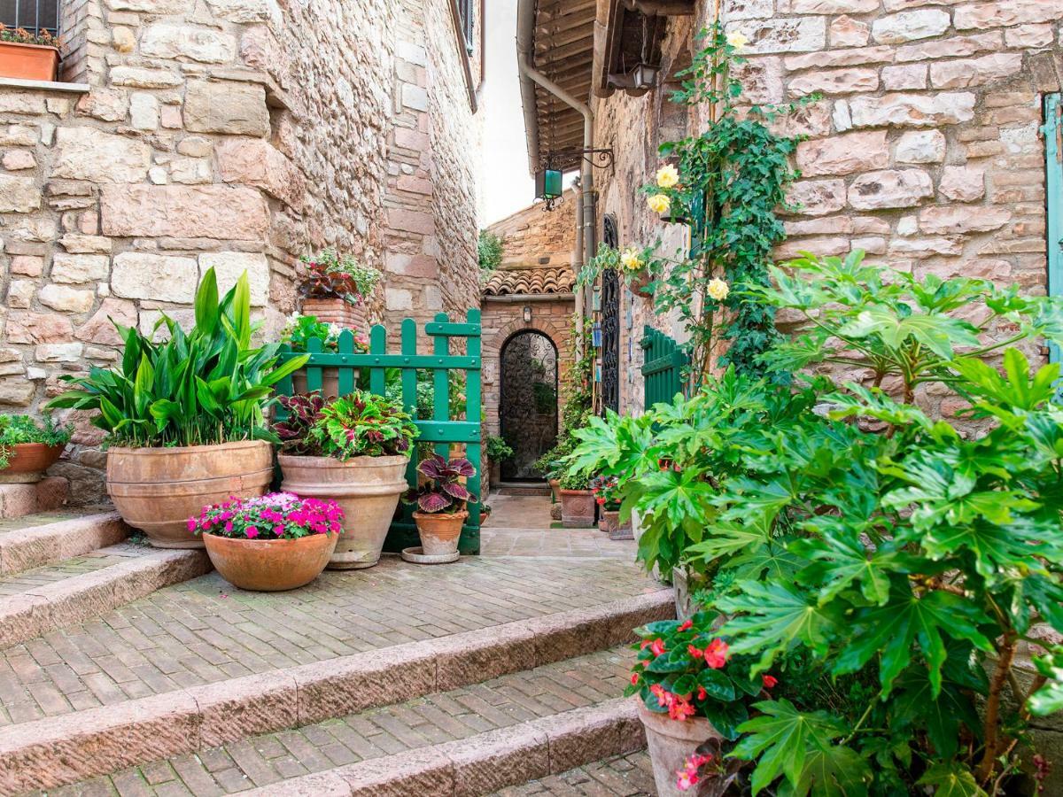 La Viola Di Assisi Hotel ภายนอก รูปภาพ
